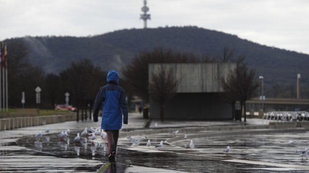 The wet weather continues after overnight showers. Seagulls gather on the shores of Lake Burley Griffin at Commonwealth Place. 