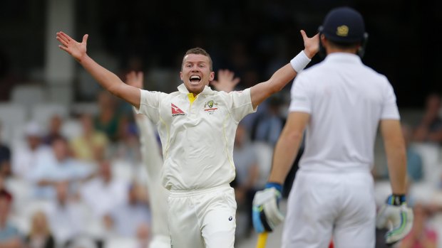 Peter Siddle was excellent in his one Ashes appearance this year.
