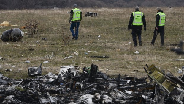 Delayed access: MH17 flight recovery team members at the crash site.