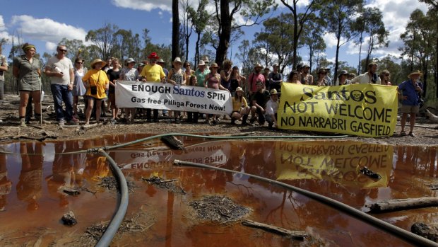 The CSG field in the Pilliga Forest , the target of continuing protests.