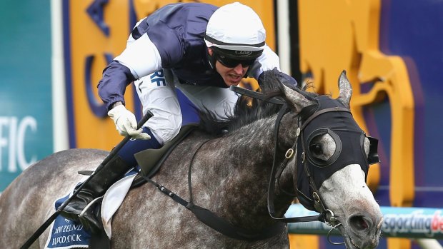 Grey matter: Nick Hall takes out the 2013 Caulfield Cup on Fawkner.  He will pilot the Japanese fancies during The Championships in April.