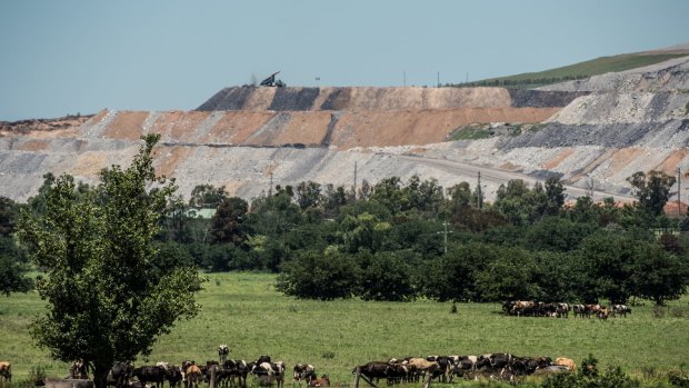 Mount Arthur's coal mine – the biggest in NSW – looms over the Muswellbrook countryside.