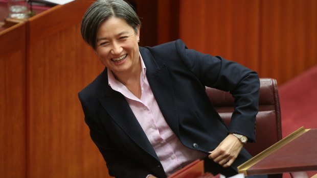 Senate Opposition Leader Penny Wong is what we should seek in a leader.