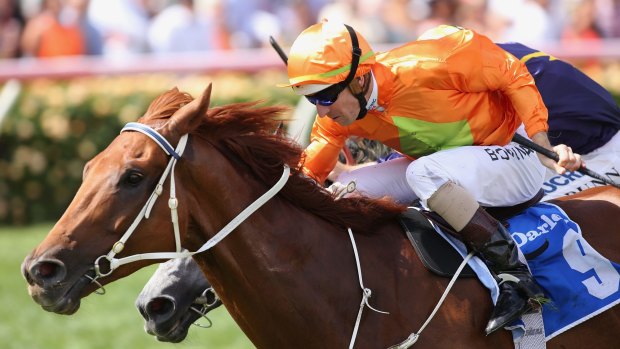 Simply the best: Hugh Bowman and Terravista take out The Darley Classic at Flemington.
