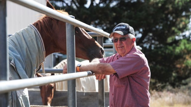 Canberra breeder Bernie Howlett missed out on winning the 1961 Melbourne Cup due to suspension.