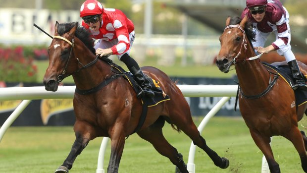 Magic drive: Chauffer wins on debut at Rosehill.