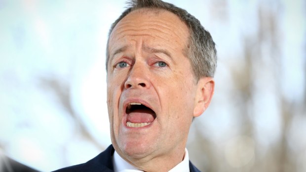 Opposition Leader Bill Shorten says he will step up and show the leadership the nation has lacked to fix the budget.