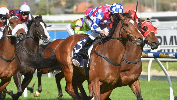 Canberra sprinter Fell Swoop will head north for the Brisbane winter carnival.
