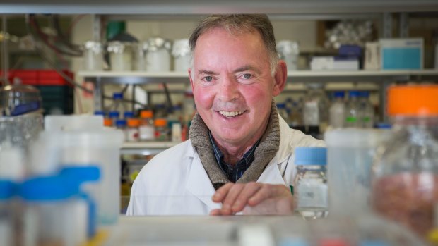 Australian National University scientist Graham Farquhar was the first Australian to win a Kyoto Prize. He has been named the Senior Australian of the Year.