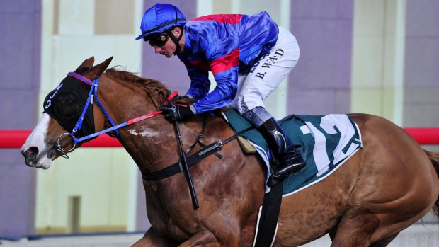 Without A Shadow will line up in the Country Championships at Randwick on Saturday.