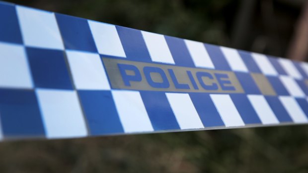 Police a seeking burglars who severely bashed a pet dog in a Daisy Hill home.