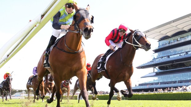Over the line: Tye Angland guides Manawanui, left, to victory at Randwick in Septemr last year. 