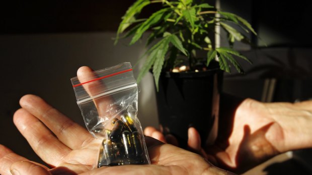 Perth-based medicinal marijuana company MMJ PhytoTech is on the rise.