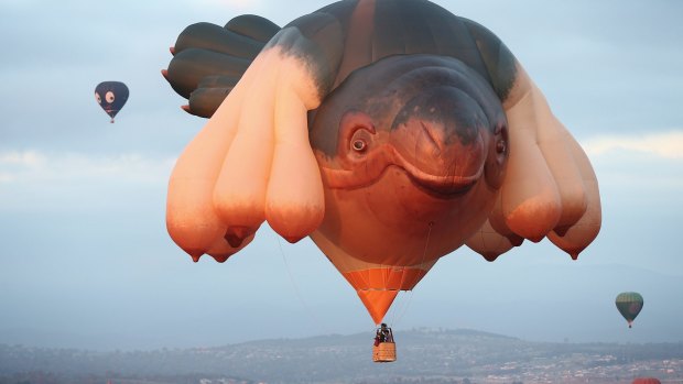 Is Skywhale greater than Alphie? 