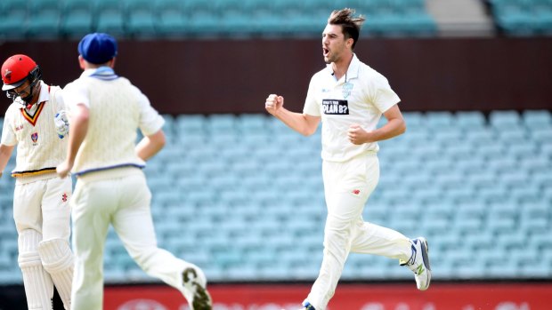 Return to Tests: Pat Cummins has been called in as Mitchell Starc's replacement in India.
