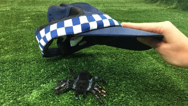 Two Mareeba police officers were flagged down by French backpackers near Granite Creek and asked to help remove a spider from the backpackers' campervan.