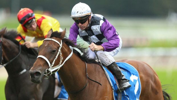 Elle of a weekend: Elle Lou provides top stallion Snitzel with another big win at Randwick at the weekend.