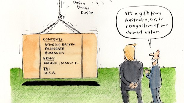 Illustration: Cathy Wilcox