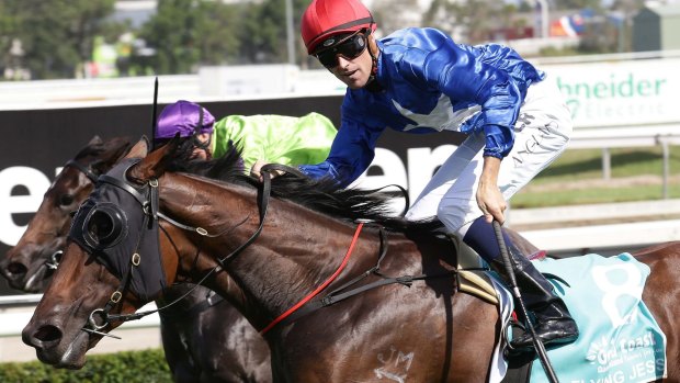 Magic moment: Tye Angland looks at the camera as  Flying Jess beats Global Glamour in the Magic Millions Guineas in January.