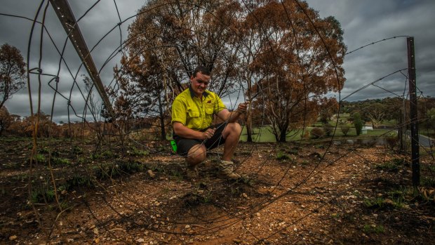 Fencer Lachlan Harding of Patterson rural consulting works to repair fences in the Carwoola area after the February fires.