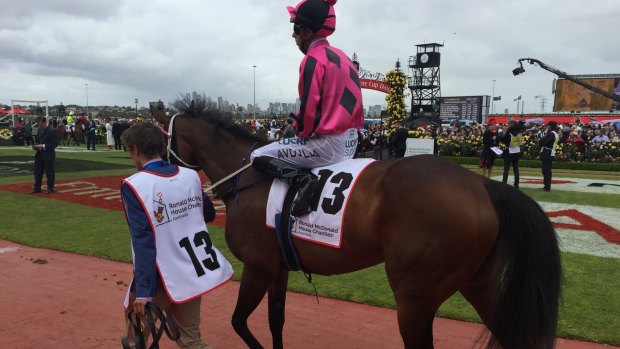 Andrew Wu's horse Kawabata prepares for the Ronald McDonald House Charities Plate – or Flemington race four – on Melbourne Cup day.