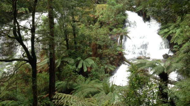 Triplet Falls, Great Otway National Park.