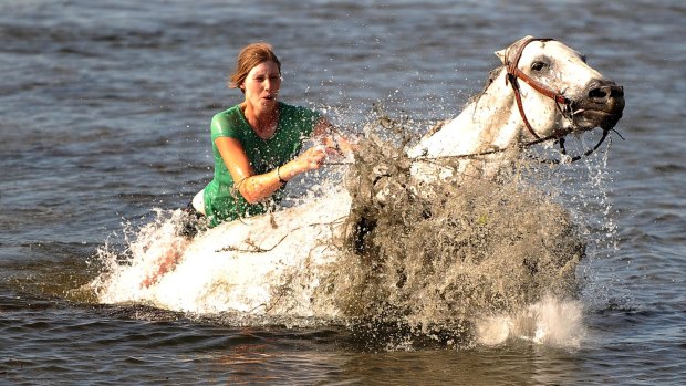 Ranch hand intern Margo Chalmers takes a dip to cool off in one of the ranch's ponds with her horse Rose.