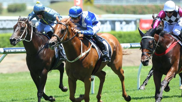 Back on track: Improvement resumes with a big weight at Rosehill on Saturday.