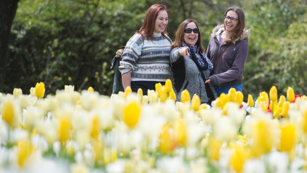 Daniella Queenan, Elsa Mardones and Sarah Sannen enjoying a little sunshine at Floriade on Monday.