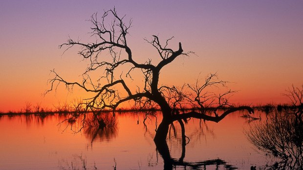 Reflections in Lake Menindee at sunset in Kinchega National Park,NSW .