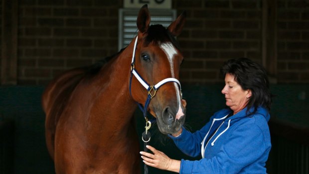 Rising to the occasion: Donna Logan with Caulfield Cup runner-up Rising Romance.
