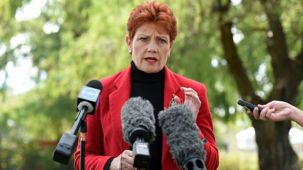One Nation's comeback kid Pauline Hanson.