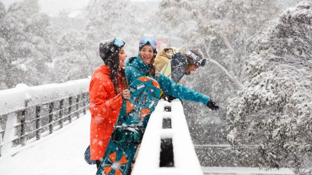 Over 40cms of fresh snow has fallen up top of Shannon Reynolds, Maddie Day and Tully examine the snow at Thredbo