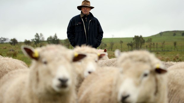 'I shoot purely to guard the livestock,' says farmer John Lakey, who shot a dog that had mauled his rams.