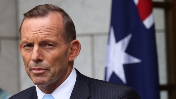 Tony Abbott's government needs a clearer economic strategy. 
