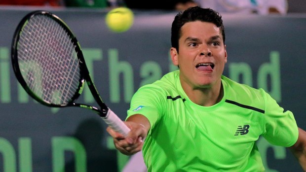 Focused: Milos Raonic has worked on his weaknesses and bolstered his strengths. 