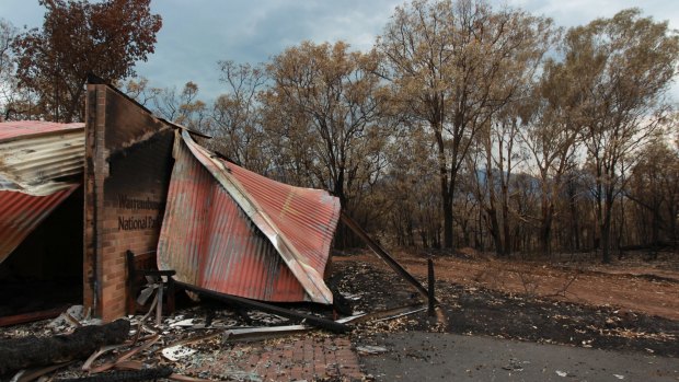 Destroyed: The Warrumbungle National Park after "Black Sunday" in 2013.