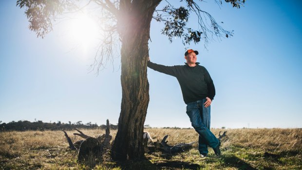 Steve Evans on his NSW property, Cardinia Estate, about 1km from the ACT border where he runs cattle and sheep: Mr Evans, along with other landowners, is upset about a proposed 5km buffer zone stopping development between in NSW on the ACT's border.