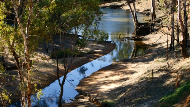 Reforms for the 23 river systems that make up the Murray-Darling Basin are largely slowed to a trickle, the Westworth Group says.