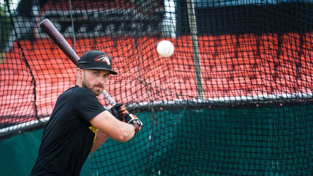 Canberra Cavalry catcher Mike Reeves has returned to the United States.