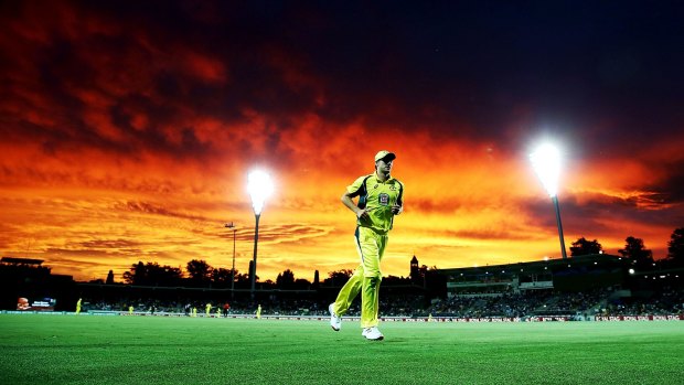 A stunning sunset at Manuka Oval during Australia's ODI.