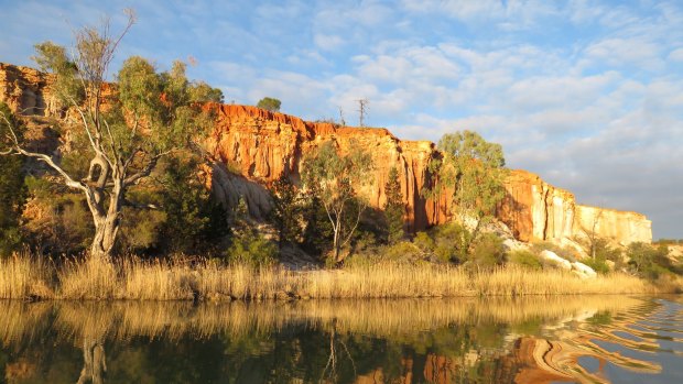 Natural beauty: The striking landscape beside the River Murray.