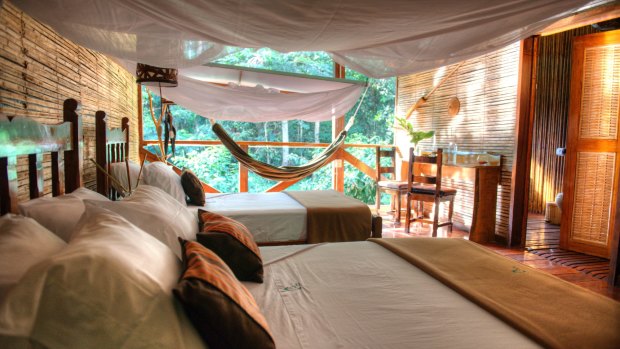 Rooms are open to the creatures of the forest at Refugio Amazonas.