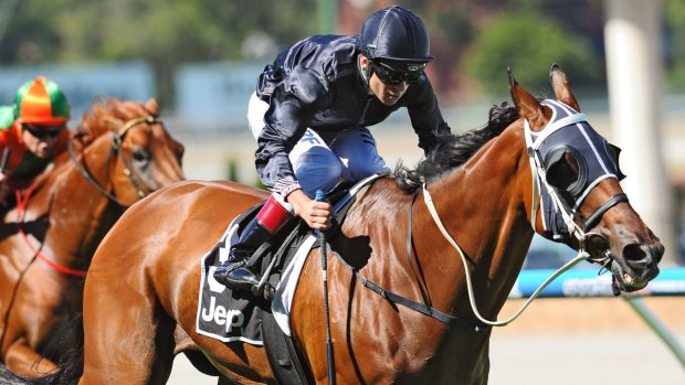 The Gelagotis brothers are confident Mourinho can run in the Cox Plate.