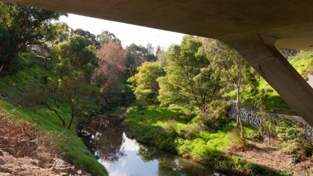 Merri Creek.