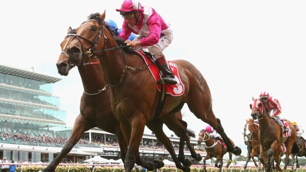 Good value: Disposition, with Damien Oliver in the saddle, rates highly in the Emirates Stakes.