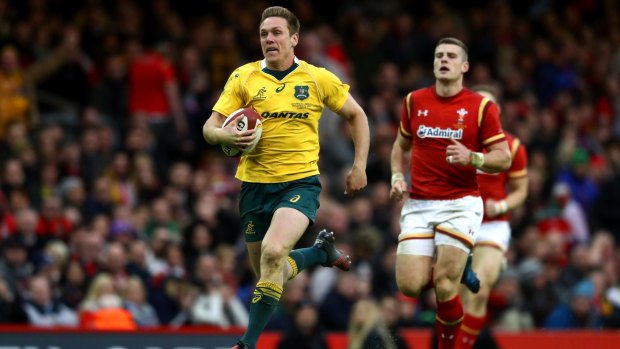 ACT Brumbies boss Michael Thomson says the club is interested in signing Wallabies flyer Dane Haylett-Petty if the Western Force are axed from Super Rugby.