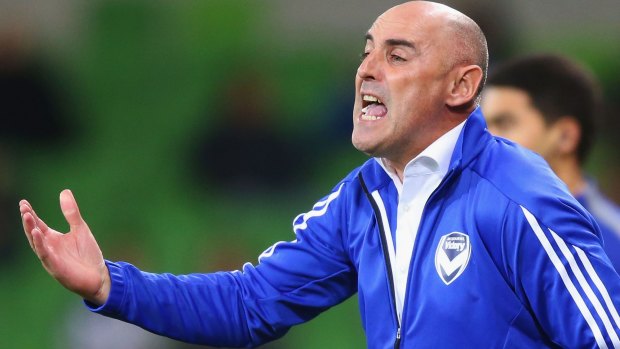 An animated Kevin Muscat has a nervous moment or two.