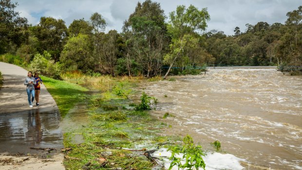 Dights Falls, Abbotsford