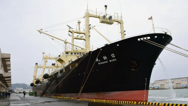 Japanese whaling vessel Nisshin Maru is anchored in Shimonoseki, western Japan, on Friday.